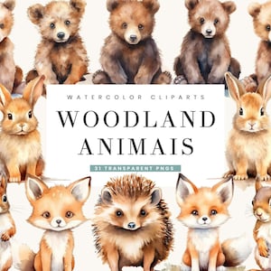 31 Pacote de clipart de animais da floresta em aquarela, uso comercial, download digital, download instantâneo, arte para impressão