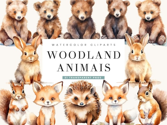 31 Watercolor Woodland Animals Clipart Bundle, Commercial Use, Digital Download, Instant Download, Printable Art