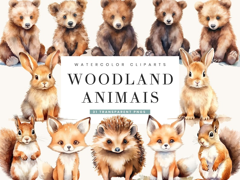 Pu&ograve; includere: Clipart ad acquerello con animali del bosco, tra cui orsi, conigli, scoiattoli, volpi e un riccio. L'immagine include il testo "Watercolor Cliparts" e "Woodland Animals". Gli animali sono in tonalit&agrave; di marrone, beige e arancione.