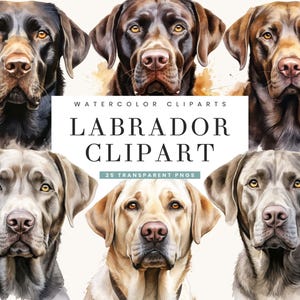 25 Watercolor Labrador Clipart Bundle Sublimation Designs Digital Download, Digital Prints Instant Download, Black Labrador