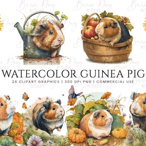 26 Watercolor guinea pig clipart , watercolor clipart, digital download, instant download, digital prints
