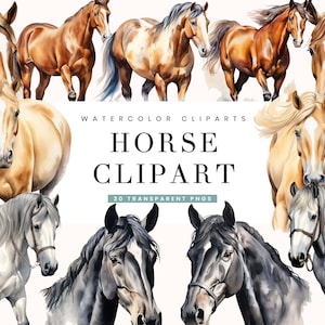 Paquete de 30 imágenes prediseñadas de caballo de acuarela, Diseños de sublimación, Descarga digital, Descarga instantánea, Imágenes prediseñadas de acuarela, Impresión digital, Uso comercial
