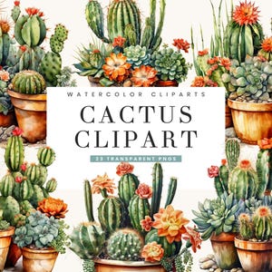 Paquete de 23 diseños de sublimación de imágenes prediseñadas de cactus en acuarela, descarga digital, descarga instantánea de impresiones digitales, plantas de cactus
