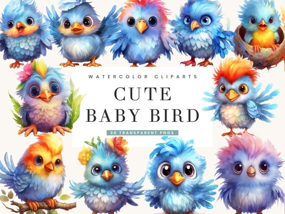 30 Watercolor Cute Baby Bird Clipart Bundle, Digital Download, Watercolor Clipart, Instant Download, Commercial Use