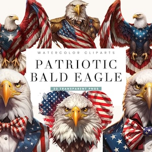 23 patriottico aquila calva clipart bundle sublimazione disegni download digitale, stampe digitali, arte stampabile, aquila calva file PNG