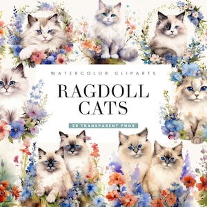 29 Watercolor Ragdoll Cats Clipart Bundle Sublimation Designs, Instant Download Watercolor Clipart Digital Download Png Files