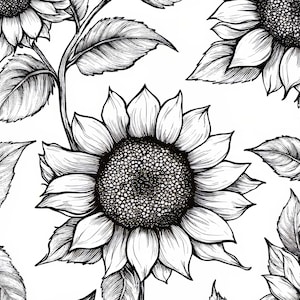 Op de afbeelding: Zwart-wit illustratie van zonnebloemen. De afbeelding toont meerdere zonnebloemen met getextureerde bloemblaadjes en zaadhoofden, samen met bladeren en stengels. De lijntekeningstijl biedt een hoog detailniveau.