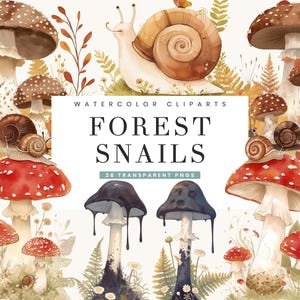 26 aquarelle forêt magique escargots contes Clipart Bundle sublimation dessins téléchargement numérique, impressions numériques téléchargement immédiat, forêt magique