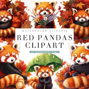 Bundle de cliparts aquarelle pandas rouges Sublimation dessins téléchargement numérique, tirages numériques téléchargement immédiat, fichiers PNG d'art mural