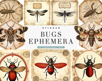 Vintage Bug Ephemera Stickers: Printable Insect Art (Digital Prints)