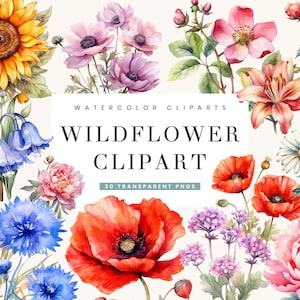 30 Watercolor Wildflower clipart bundle, digital download, digital planner, watercolor clipart, commercial use,