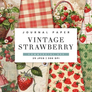 Kit de 25 journaux indésirables, fraises pages décoratives, sublimation de dessins, téléchargement numérique, impressions numériques sur vieux papiers, journal numérique