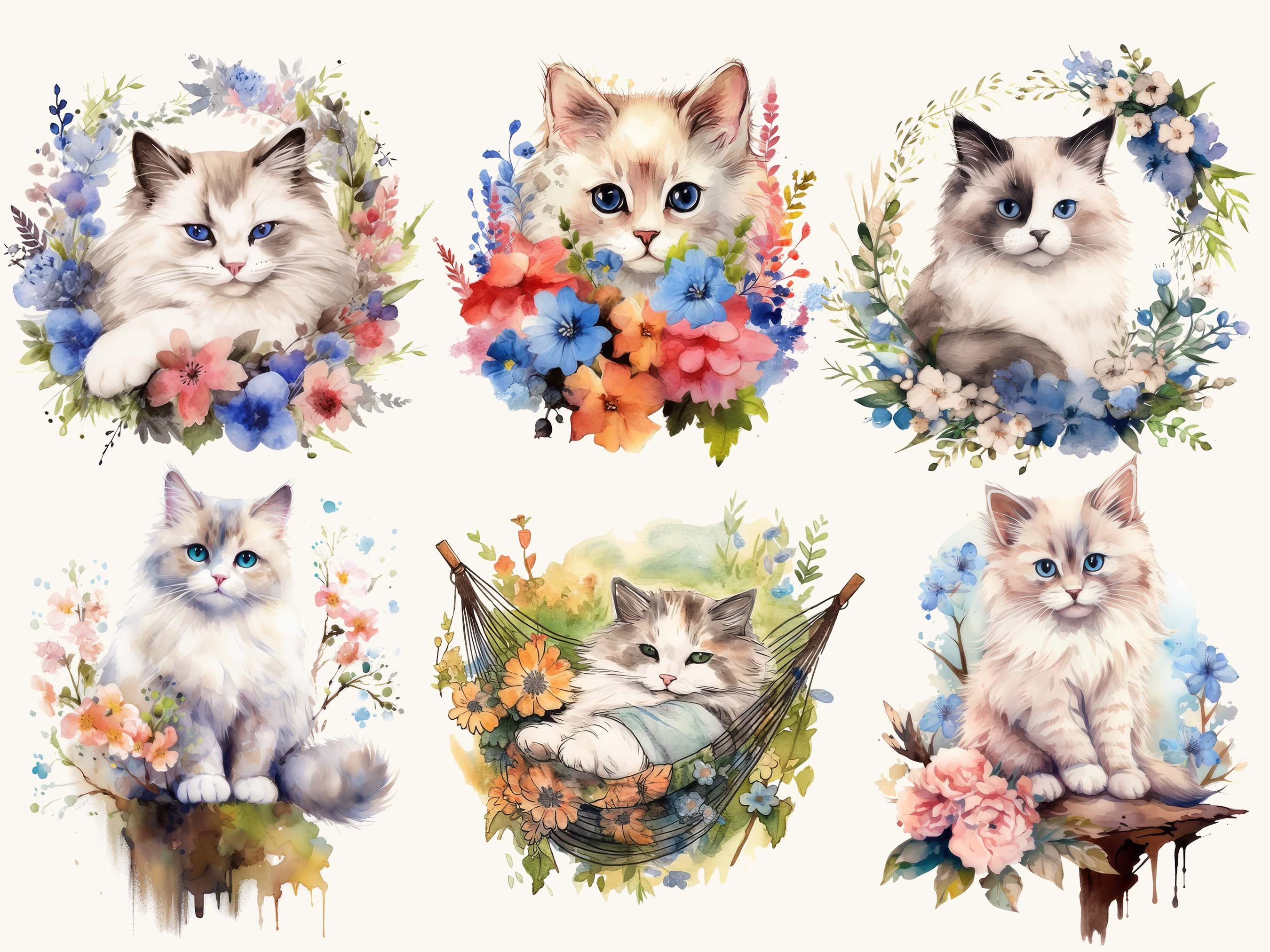 Watercolor Ragdoll Cats Clipart Bundle: 29 PNG Designs (digital ...