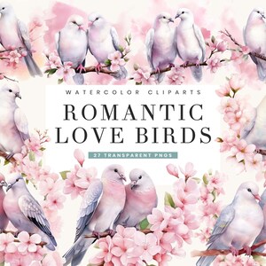 27 aquarelles romantiques oiseaux d'amour Bundle Clipart sublimation designs, téléchargement numérique, impressions numériques, téléchargement immédiat, art mural