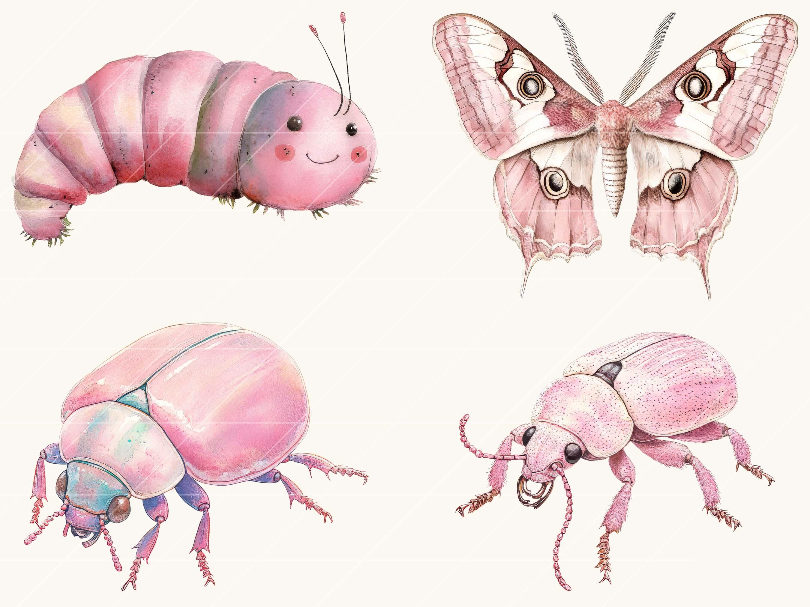 Watercolor Pink Bugs Clipart Bundle: Vintage Insect Designs (digital ...