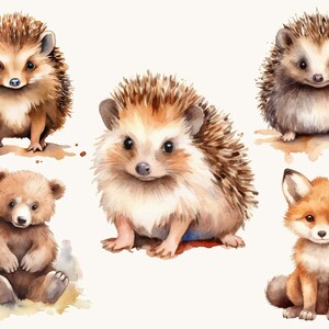 Set di 31 clipart ad acquerello con animali del bosco, uso commerciale, download digitale, download istantaneo, arte stampabile immagine 6