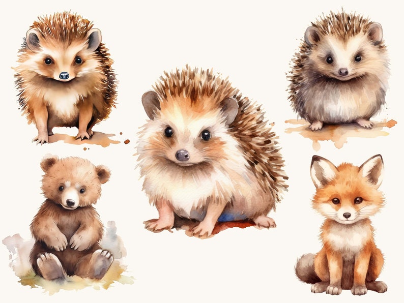 Set di 31 clipart ad acquerello con animali del bosco, uso commerciale, download digitale, download istantaneo, arte stampabile immagine 6