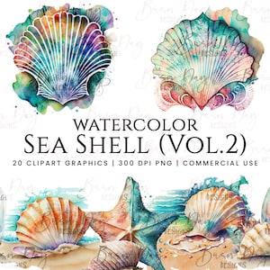 20 Watercolor Sea Shell Vol 2 Clipart , clipart bundle, commercial use, digital download, instant download,  Clip art