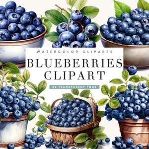 22 Aquarell blaue Beeren Clipart Bundle Sublimation Designs digitaler Download, Sofort-Download Digitaldrucke, blaue Beeren PNG-Dateien