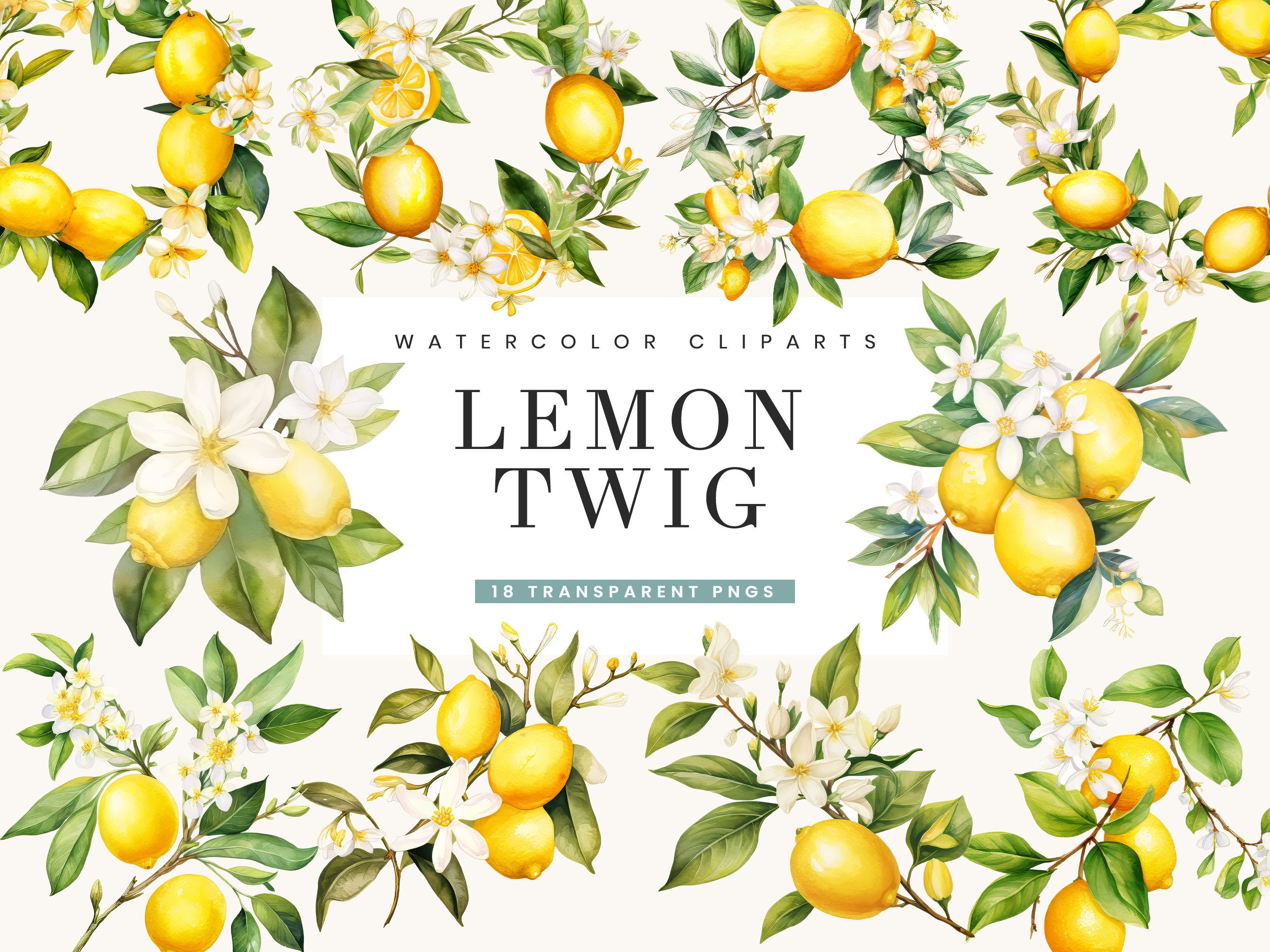 18 Watercolor Lemon Twig Clipart Bundle Sublimation Designs, Instant Download, Png Designs Printable Art, Digital Print