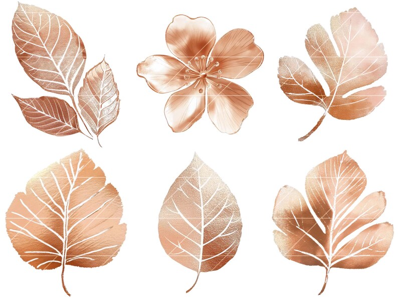 30 Rose Gold Foil Textured Leaves and Flowers Clipart Bundle