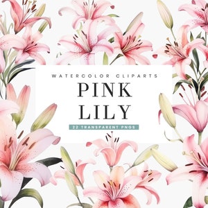 22 Aquarela Pink Lily Clipart Bundle Download instantâneo, designs de sublimação, download digital, arte de parede para impressão, arte para impressão, arquivos Png