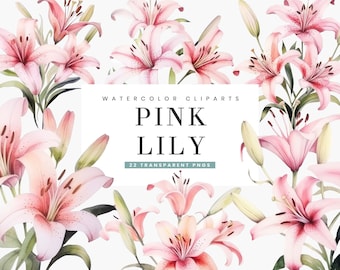 Watercolor Pink Lily Clipart Bundle: Sublimation Designs (Digital Download)