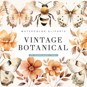 Watercolor Vintage Botanical Clipart: 30 PNG Designs (Digital Download)