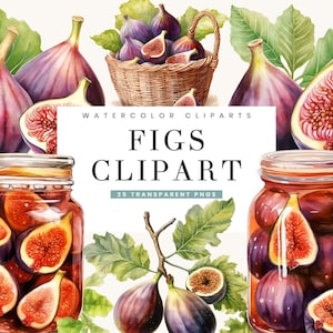 25 Watercolor Figs Clipart Bundle Sublimation Designs Digital Download, Digital Prints, Printable Art, Figs PNG Files