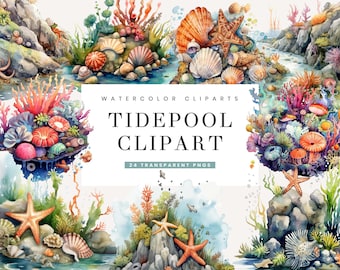 24 Watercolor Tidepool and Seascape Clipart Bundle Sublimation Designs Digital Download Watercolor Clipart, Commercial Use