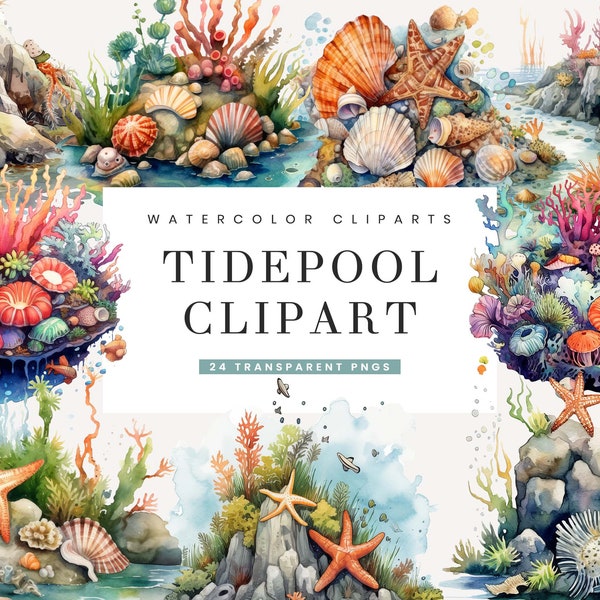 24 Watercolor Tidepool and Seascape Clipart Bundle Sublimation Designs Digital Download Watercolor Clipart, Commercial Use