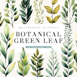 150 designs de sublimação de pacote de clipart de folhas verdes botânicas em aquarela, download instantâneo de imagens em aquarela