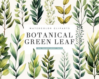 May include: Watercolor clipart set of 150 green leaves. The leaves are in various shades of green and yellow, and are arranged in a random pattern. The text "Botanical Green Leaf" is written in a white box in the center of the image.