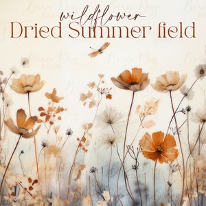 12 Pacchetto clipart acquerello Wildflower Dried Summer field, download digitale, pianificatore digitale, clipart acquerello, uso commerciale,