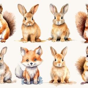 Pu&ograve; includere: Illustrazioni ad acquerello di animali del bosco, tra cui scoiattoli, conigli e una volpe. Gli animali sono raffigurati in tonalit&agrave; di marrone, arancione e grigio, con pelliccia dettagliata e occhi espressivi. L'opera d'arte ha uno stile morbido e stravagante.