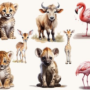 34 Watercolor Safari Animal Clipart Bundle Digital Download Sublimation ...