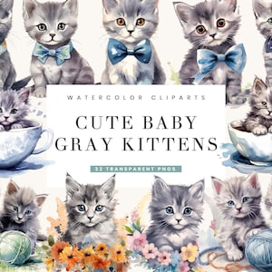 32 aquarel schattige baby grijze kittens clipart bundel, sublimatie ontwerpen, Instant Download aquarel print PNG-bestanden