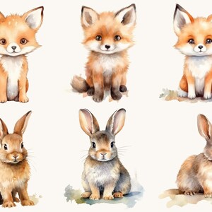 Pu&ograve; includere: Illustrazioni ad acquerello di sei animali del bosco: tre volpi e tre conigli. Le volpi sono arancioni e bianche, mentre i conigli sono marroni e grigi. Tutti sono raffigurati in posizione seduta su sfondo bianco.