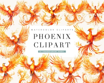 Aquarell Phoenix Clipart Bundle: 21 PNG Sublimationsdesigns (digitaler Download)