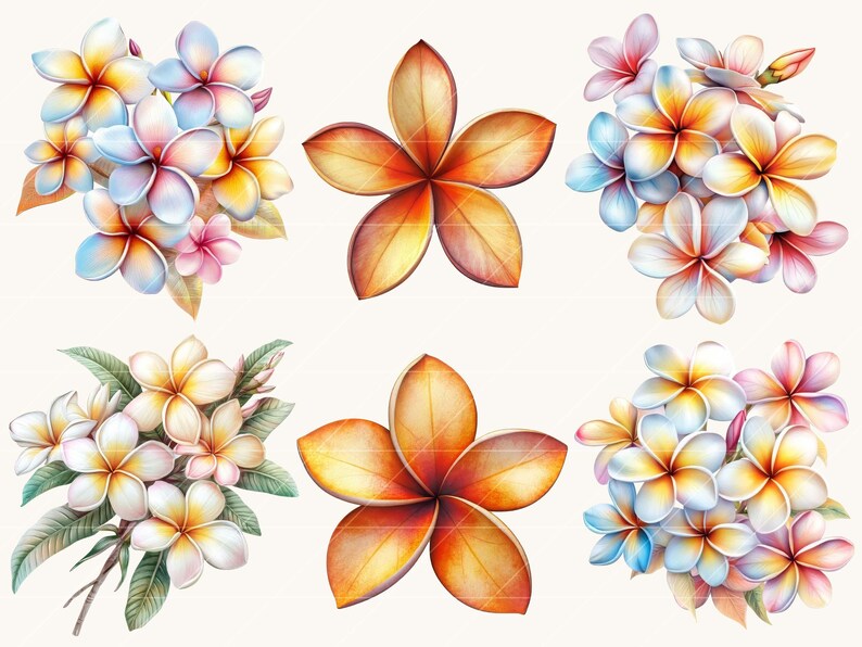 Watercolor Plumeria Clipart Bundle: Tropical Flower Designs (digital ...