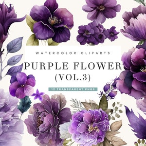 12 Fioletowy Kwiat Clipart Bundle Roses Bukiet, Kompozycje Kwiatowe, Fioletowy Clipart, Kwiatowa Akwarela, Fioletowe Róże Kwiatowe Wzory