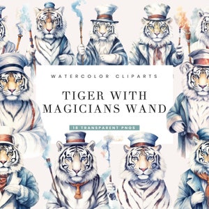 18 Tigre blanc aquarelle avec baguette Clipart Bundle Art mural imprimable Téléchargement numérique Sublimation Designs Téléchargement instantané Impression numérique