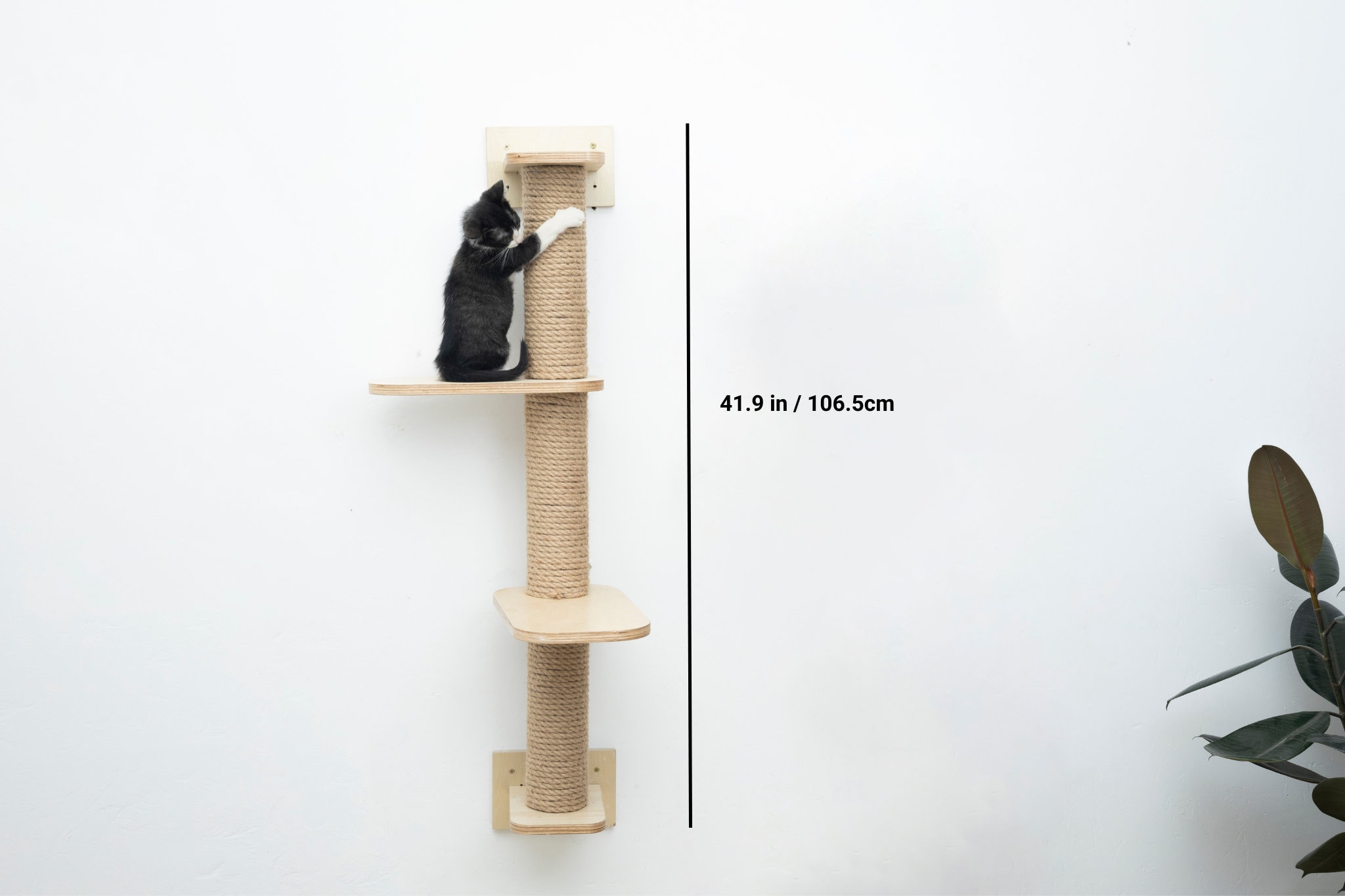Cat Wall Bed Corner Cat Bed Cat Wall Furniture Set Cat Wall Etsy