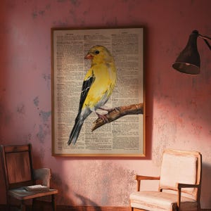 Vogel Poster, Vogel Druck, Enzyklopädie Druck, Vintage Wandkunst, Wörterbuch Poster, Wörterbuch Druck, Stieglitz Poster, Stieglitz Kunstdruck