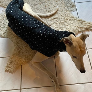 May include: A dog wearing a black dog sweater with white polka dots, resting on a cream-coloured rug. The dog is light-coloured, and the floor is tiled. The dog's head and front paws are visible.