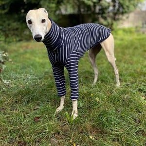 Long sleeve Sighthound Shirt striped (for Greyhounds/Galgos/Whippets)