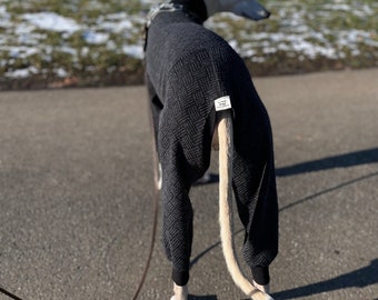 Sighthound pijamas with four legs