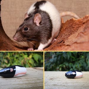 Custom Pet Rat Ornament/Figurine/ gift for Rat lover/Pet Rat memorial/Pet Rat gift/ 2 size options