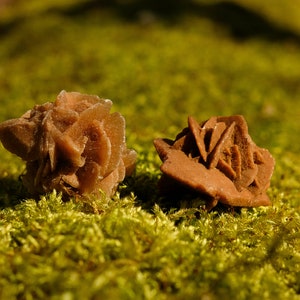 sand rose | Desert rose from Morocco