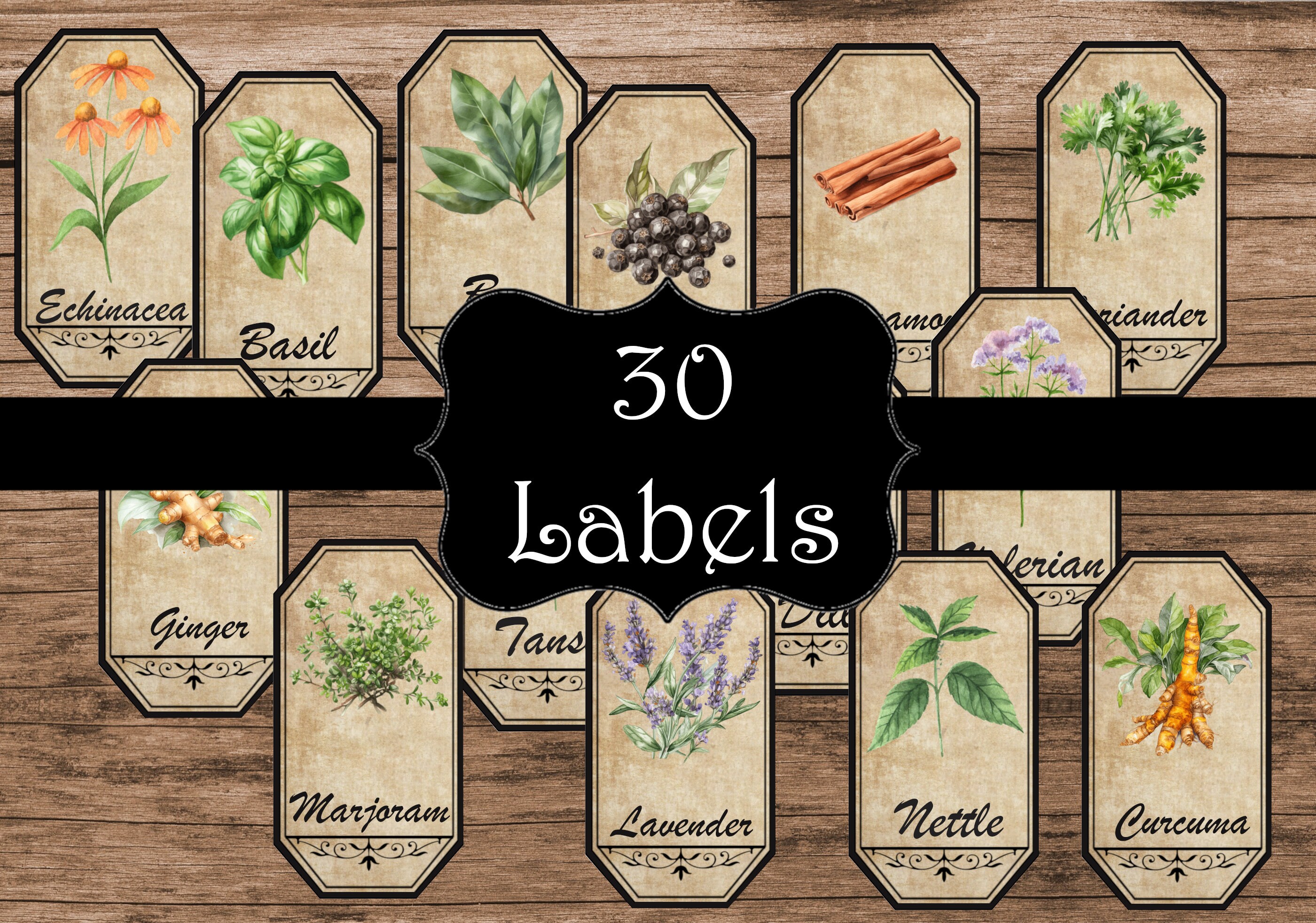 Apothecary Herb Labels. 30 Printable Labels With Herbs - Etsy